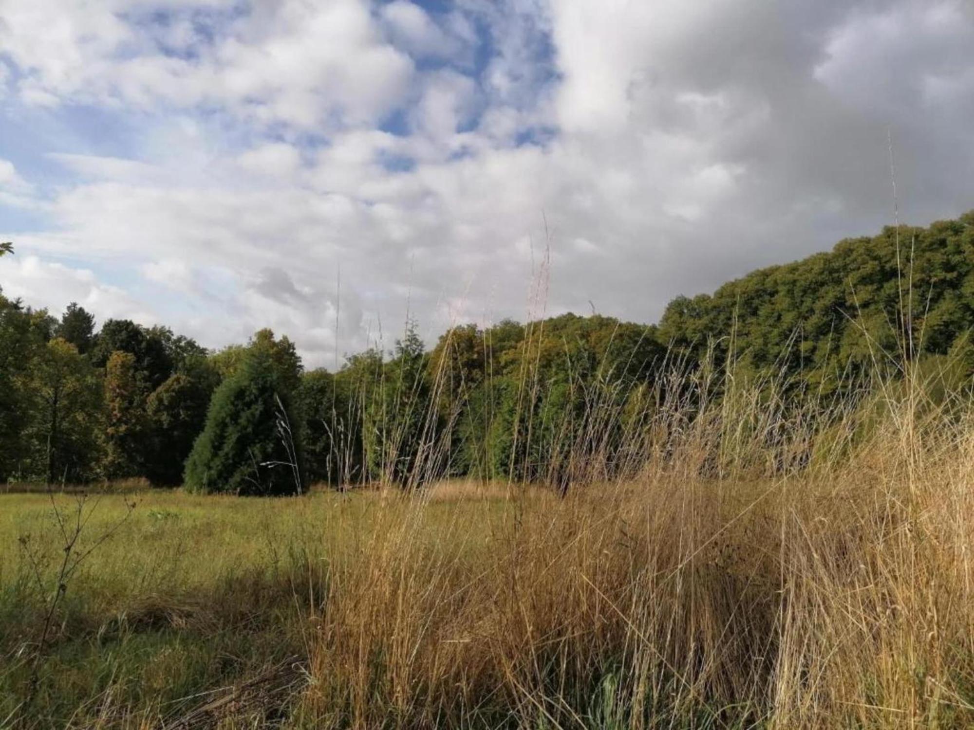 Spacious Apartment In Weser Uplands With Garden Bad Pyrmont Eksteriør billede